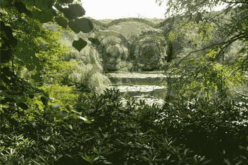 further shot in long range of a lake that has lily pads?