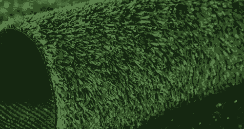 Alfombra Cesped 210*300