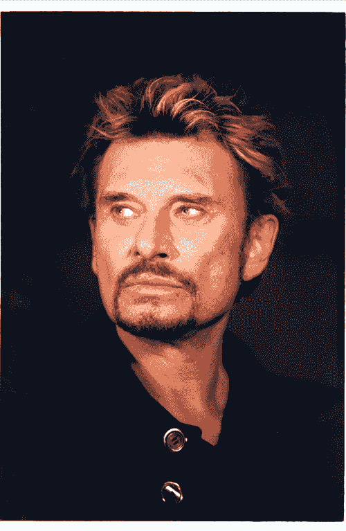 AU RYTHME DE JOHNNY HALLYDAY