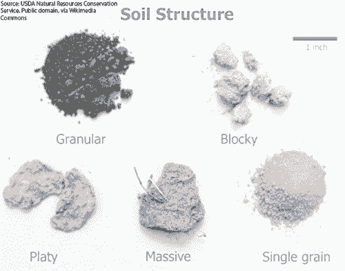 Personalized Consultation Services