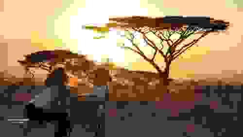 Manyara and Ngorongoro safari ( 3 DAYS)