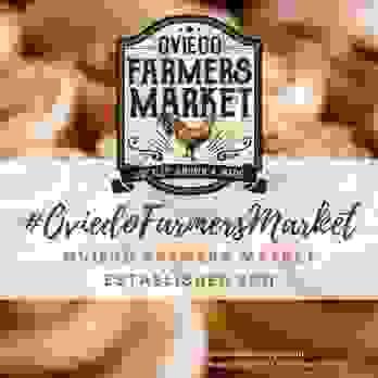 Commercial and Food Vendors
