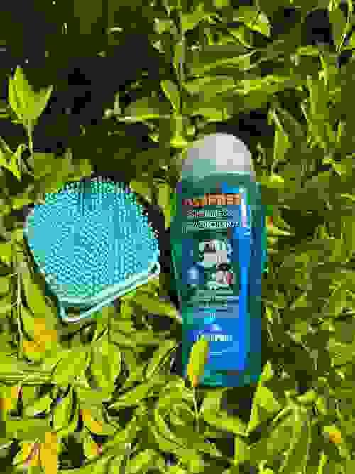 Shampoos y cepillos de baño