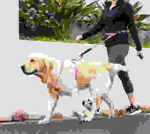 Correas manos libres