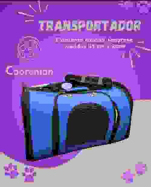 Transportadores para perros y gatos.
