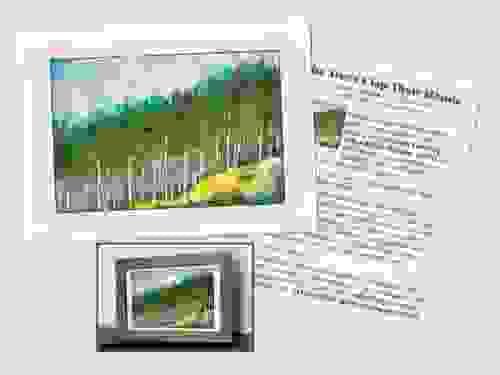 Art Greeting Card - NW Forest