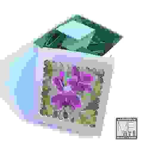 Box of Encouragement - Orchids Cream Box