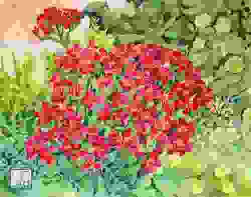 Out The Cottage Window Prints