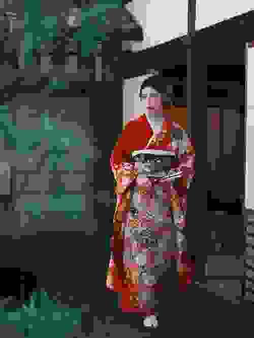 金絲款套餐