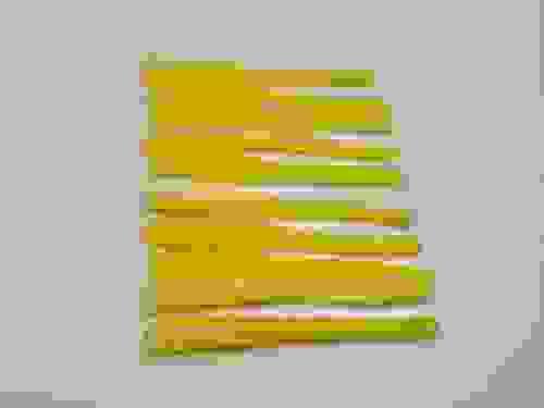 Yellow/white Inch worm (Worms Only)