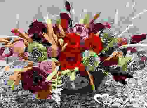 紅玫瑰永生花盆