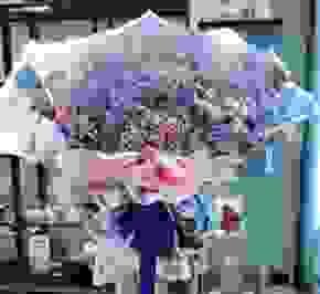 FF001韓式巨型滿天星(鮮花可乾燥)
