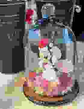 公仔系列玻璃照