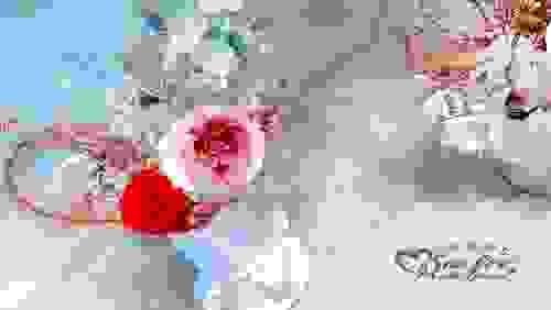 永生花小盆栽