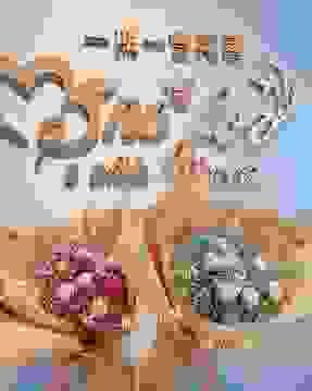 乾燥金莎花束