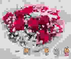 紅玫瑰浪漫告白花束 求婚小捧花