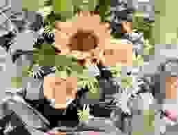 向日葵情人花束