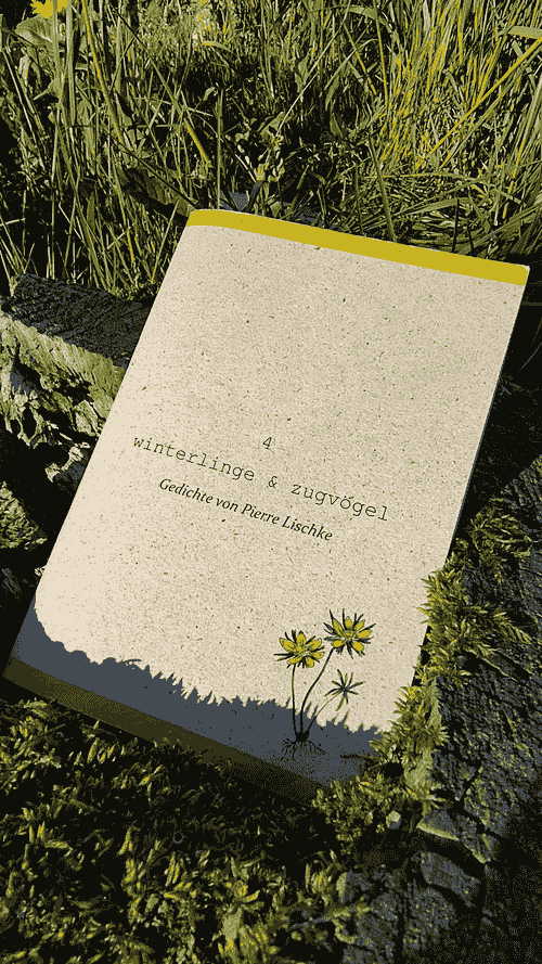 Band Nr. 4 - "winterlinge & zugvögel" (2020)
