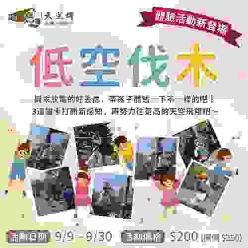 伐木星空(低空)$350