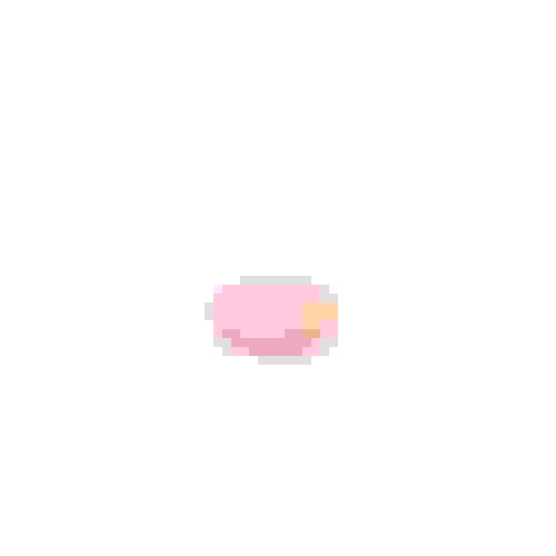Bahamian Conch Pearl 