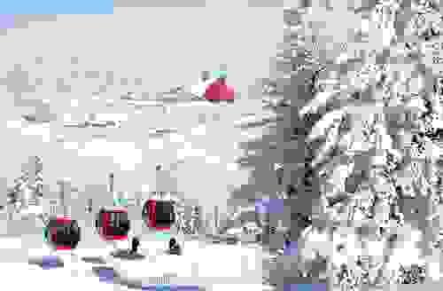 رحلة يومية في بورصة