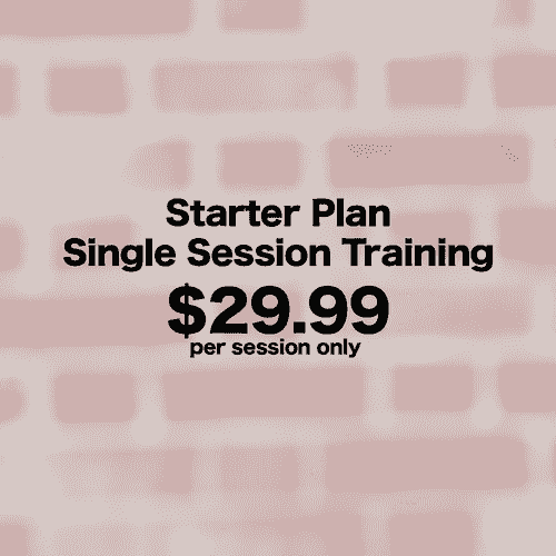 Starter Plan - Single Session Training