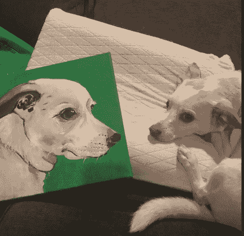 September 13 : Fermentation House Paint Your Pet Party