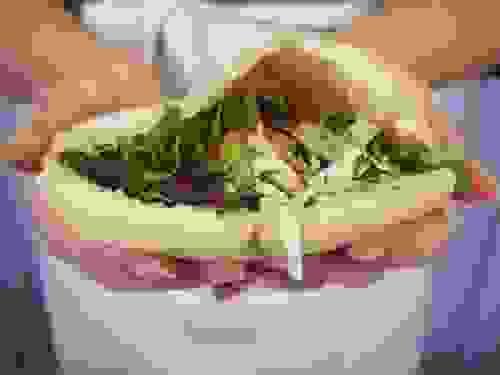batbot Sandwich