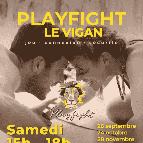 Cercle de Playfight
