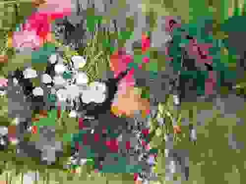 One art class*** CLASS TIMES are 10-12 AM on Wednesdays!