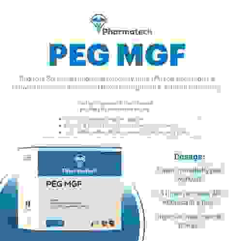 Mgf200 2Mg