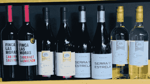 Catas de Vino | Wine Tasting