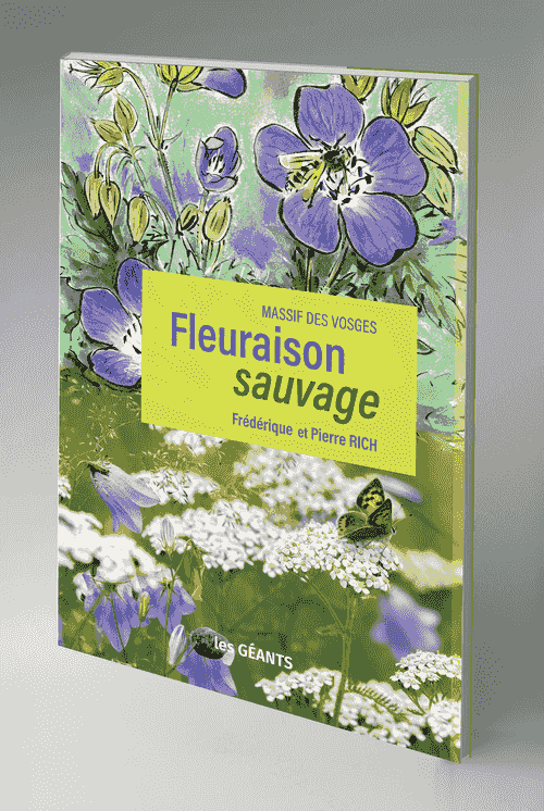 VIENT DE PARAÎTRE / Fleuraison sauvage