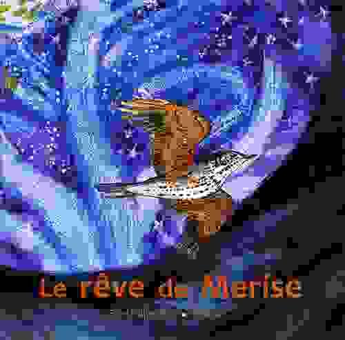 Le rêve de Merise