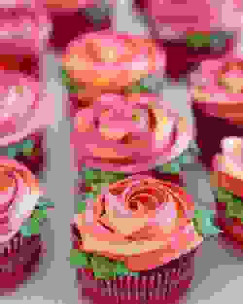 Boxed Rosettes