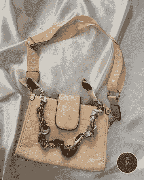 Coach viajera crossbody