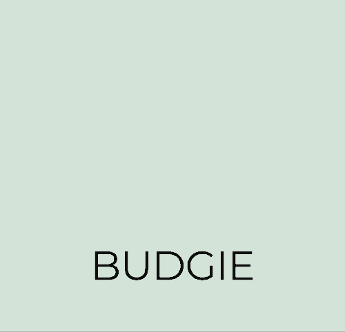 BUDGIE