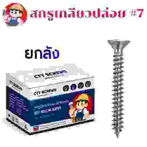 สกรูเกลียวเหล็ก ชุบนิเกิ้ล หัวF