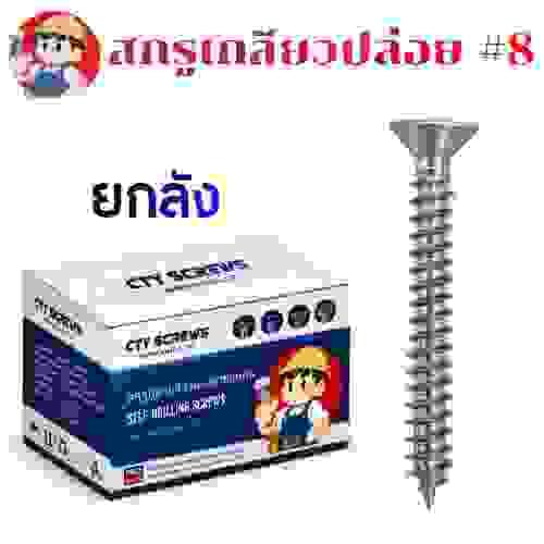 สกรูเกลียวเหล็ก ชุบนิเกิ้ล หัวF