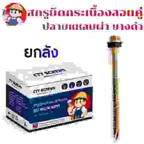 สกรูปลายแหลมผ่า ยึดกระเบื้องลองคู่ ยางดำEPDM