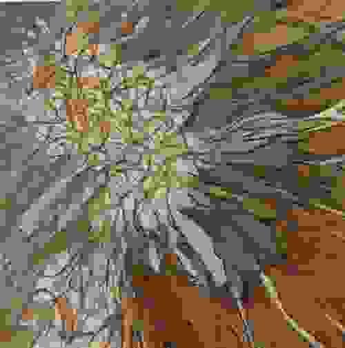 Dandelion Abstract Print