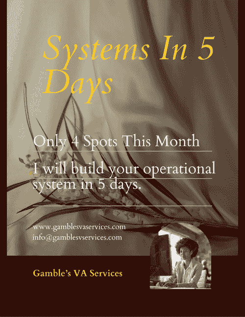 “SYSTEMS IN 5 DAYS” VIP Experience
