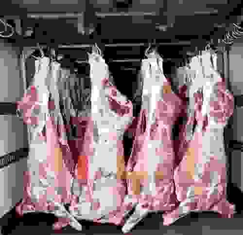 Premium Whole Lamb Carcass