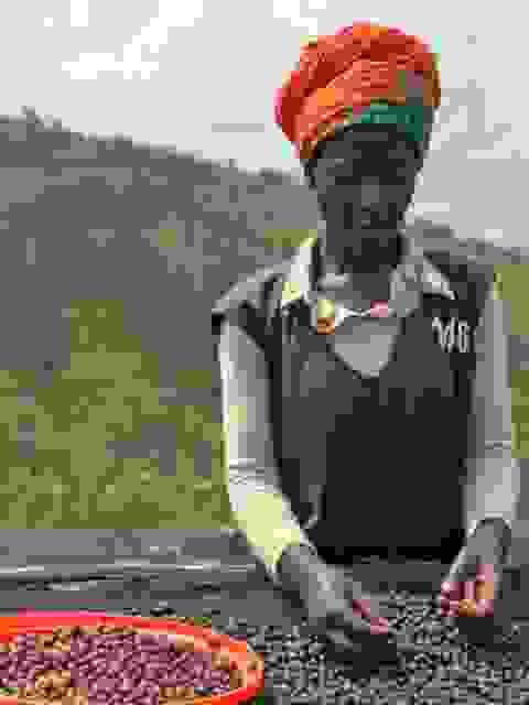 Rwanda Women’s Hands Cyendajuru Natural【Light Roast】