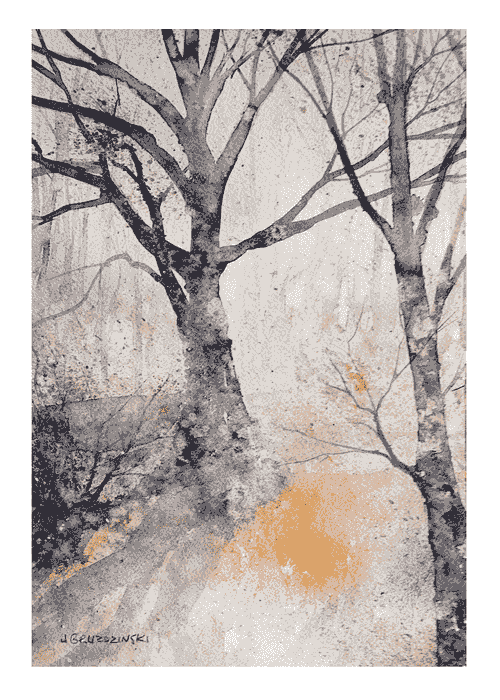 Whispers Between Trees