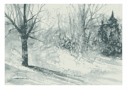 Morning Bluster (SOLD)