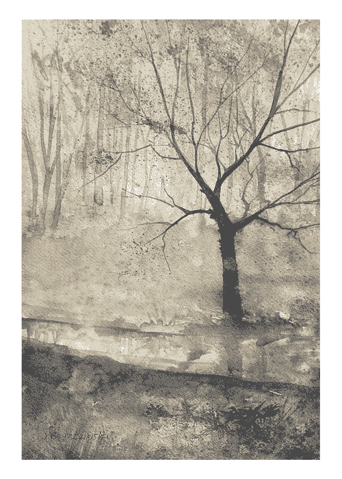 Stream Through the Stillness