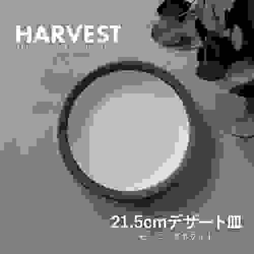 [HARVEST] 21.5cm 拼色消光餐盤日本製 美濃焼食器器皿Morning White 