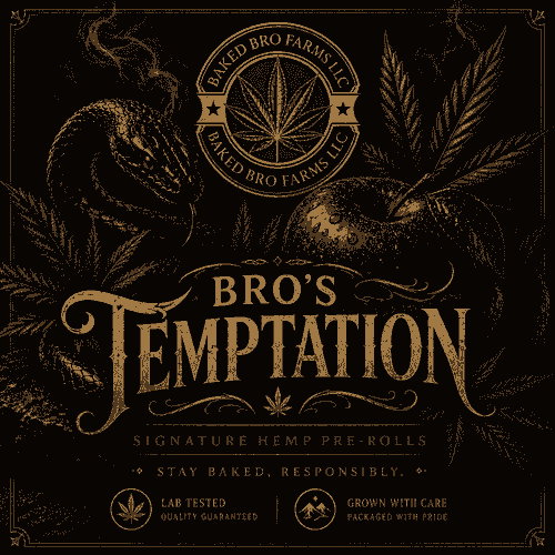 Bro's Temptation