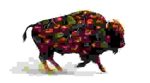 Cherry Bison Reserve